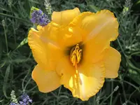 004.webp