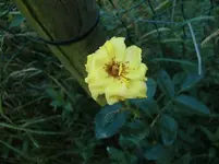 CIMG7501.webp