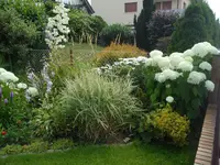 SAM_1331.webp