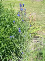 022.webp