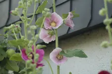 _DSC2160.webp