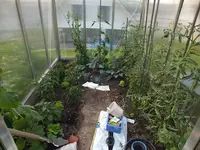 DSCF5219.webp