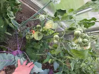 DSCF5225.webp