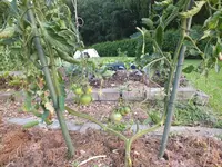 DSCF5243.webp