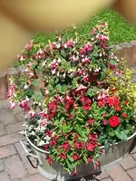 Babys Wanne.webp