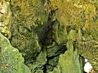 IMG_2373-v.webp