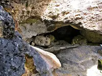 IMG_2397-v.webp