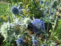 101_1434.webp