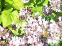 101_1441.webp