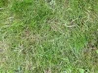 Foto 4.webp