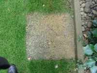 DSC00415.webp