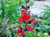 CIMG4929.webp CIMG4929.webp