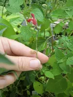 CIMG7819.webp CIMG7819.webp