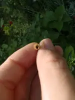 CIMG7820.webp CIMG7820.webp