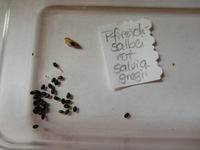 CIMG7821.webp CIMG7821.webp