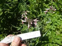 CIMG5668.webp CIMG5668.webp