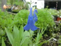 CIMG1403.webp CIMG1403.webp