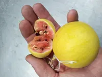 20130701_230943.webp