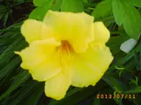 juli06 011.webp