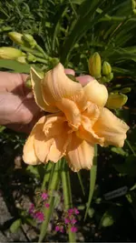 130720131785.webp