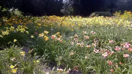 130720131777.webp