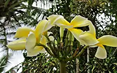 IMG_2279-v (1).webp