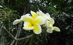 IMG_2280-v (1).webp