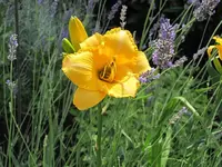 028.webp