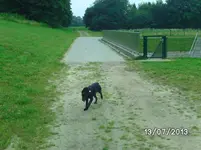 Bewegung (2).webp
