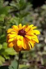 IMG_3478-001.webp