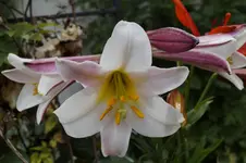 _DSC2602.webp