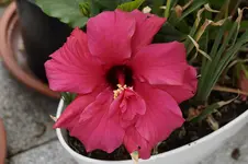_DSC2588.webp