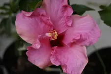 _DSC2619.webp