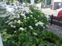 140720131391.webp