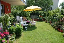 DSC_7103.2.webp
