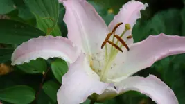 DSC04480.webp