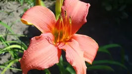 DSC04359.webp