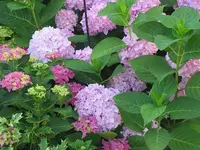 023.webp