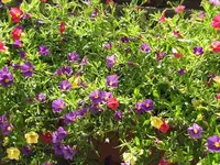 001.webp