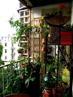 P7110025.webp