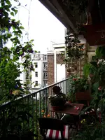 P7110034.webp