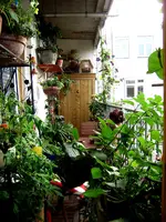 P7110040.webp