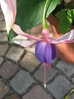 002.webp