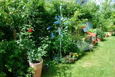 DSC_7095.2,JPG.webp