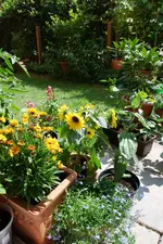 DSC_6976.2.webp