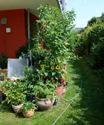 DSC_7076.3.webp