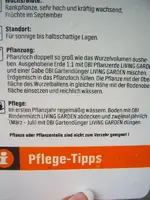 Weinanleitungzwei.webp