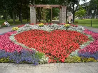 SAM_1345.webp