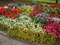 SAM_1350.webp