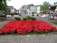 SAM_1360.webp